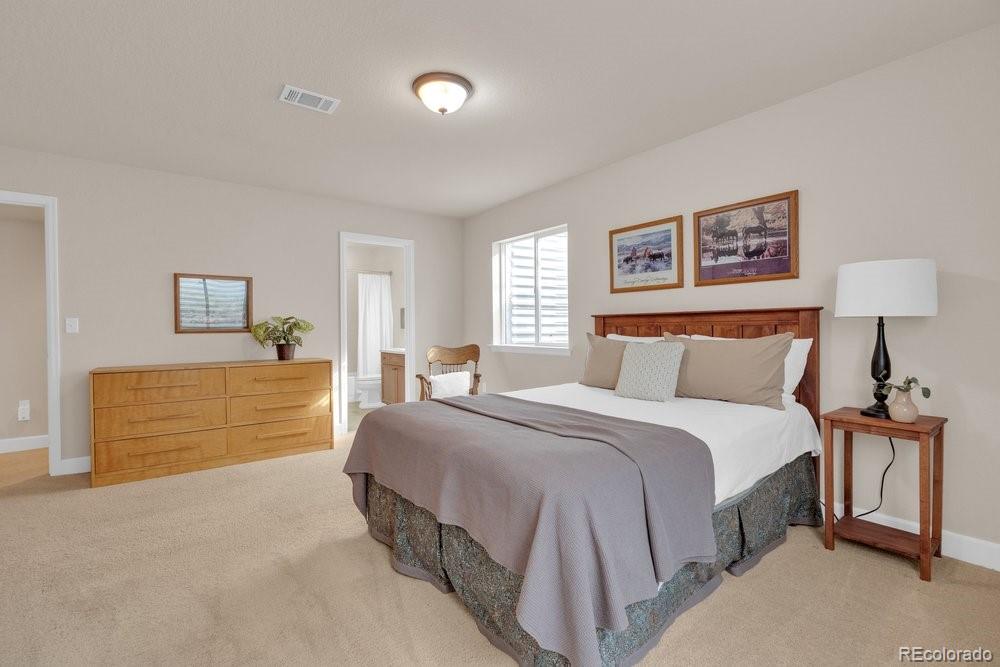 MLS Image #44 for 2042  gypsy moth court,castle rock, Colorado