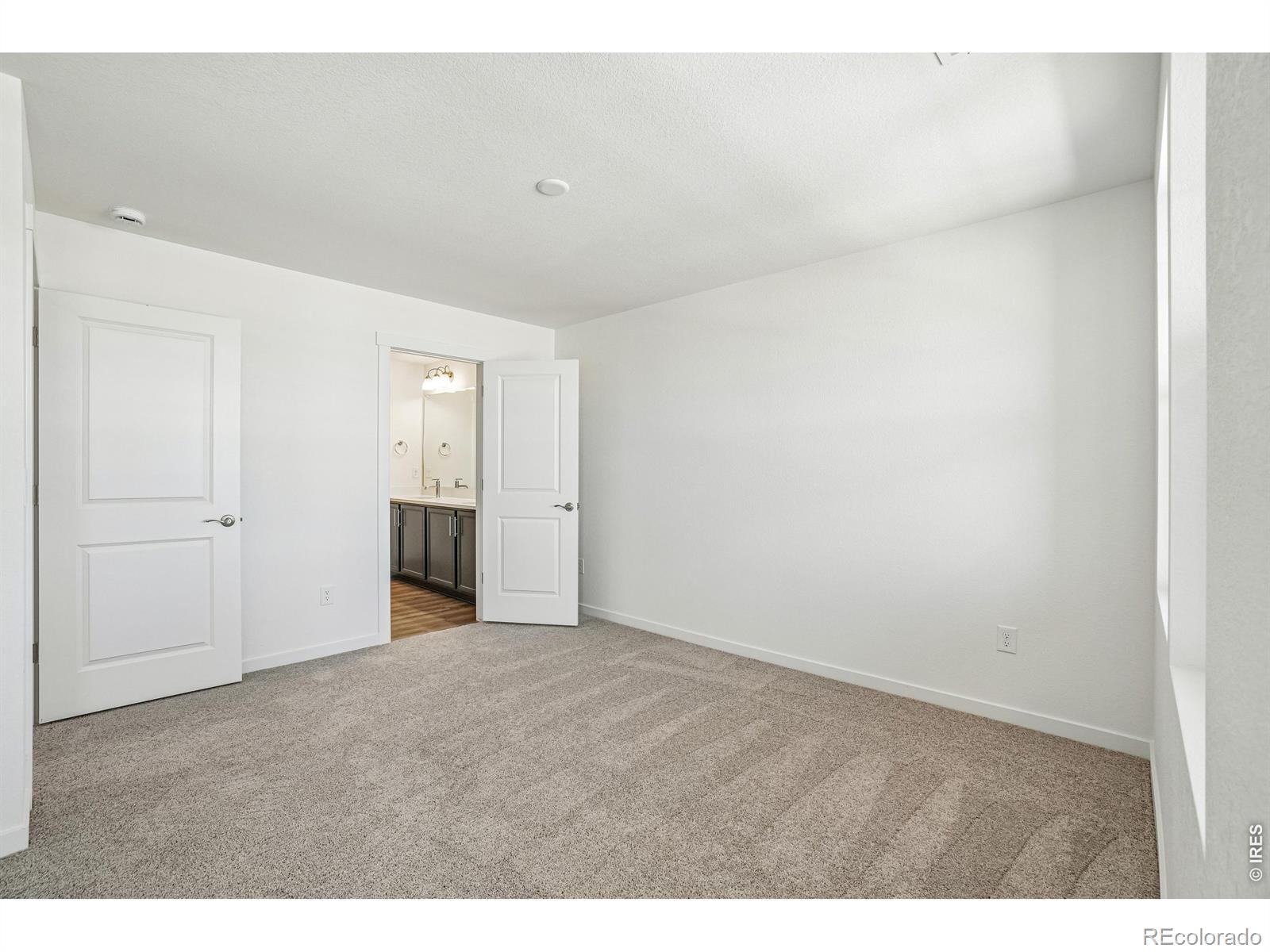 MLS Image #27 for 4516  burl street,timnath, Colorado