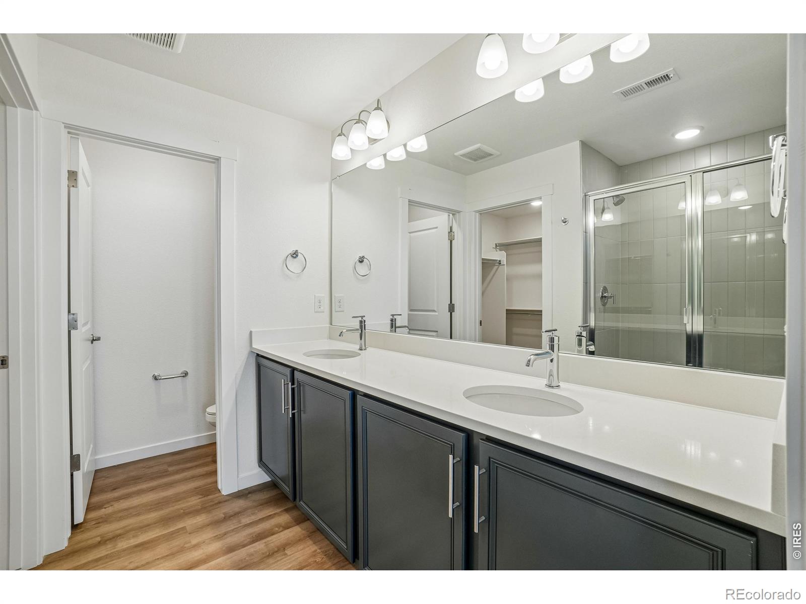 MLS Image #30 for 4516  burl street,timnath, Colorado