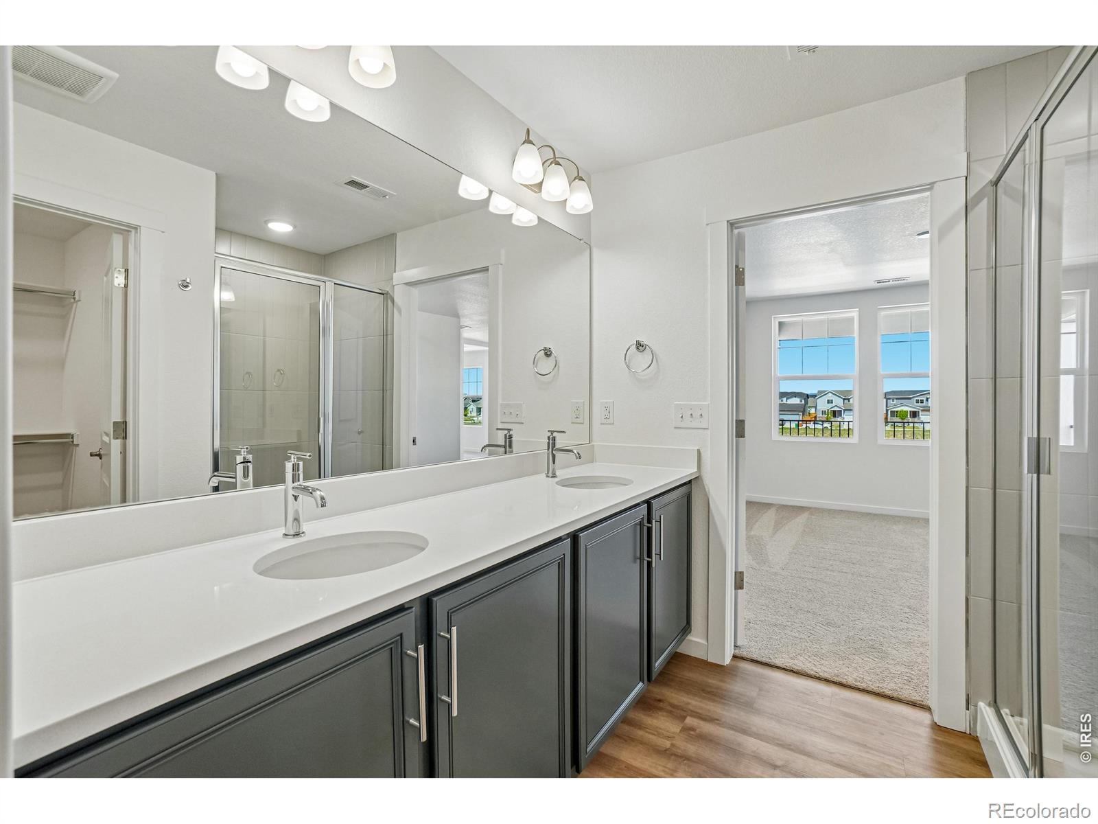 MLS Image #31 for 4516  burl street,timnath, Colorado