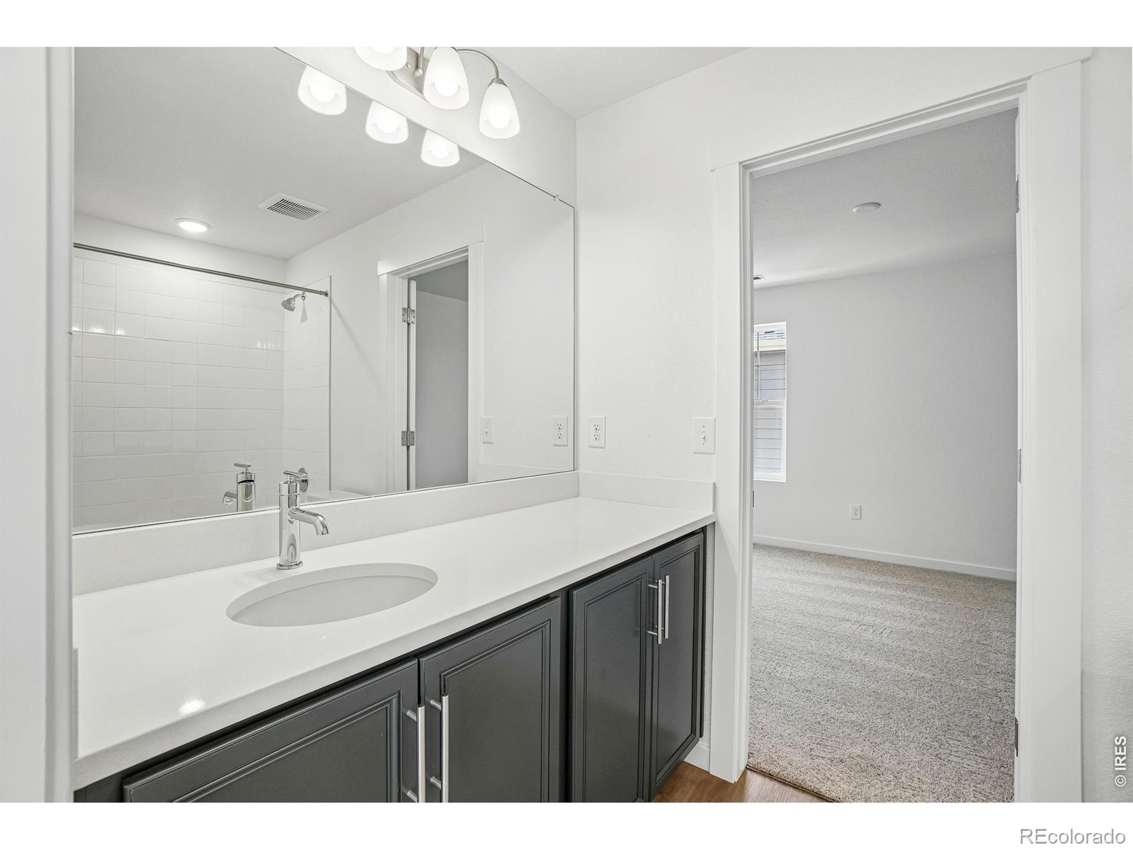 MLS Image #35 for 4516  burl street,timnath, Colorado