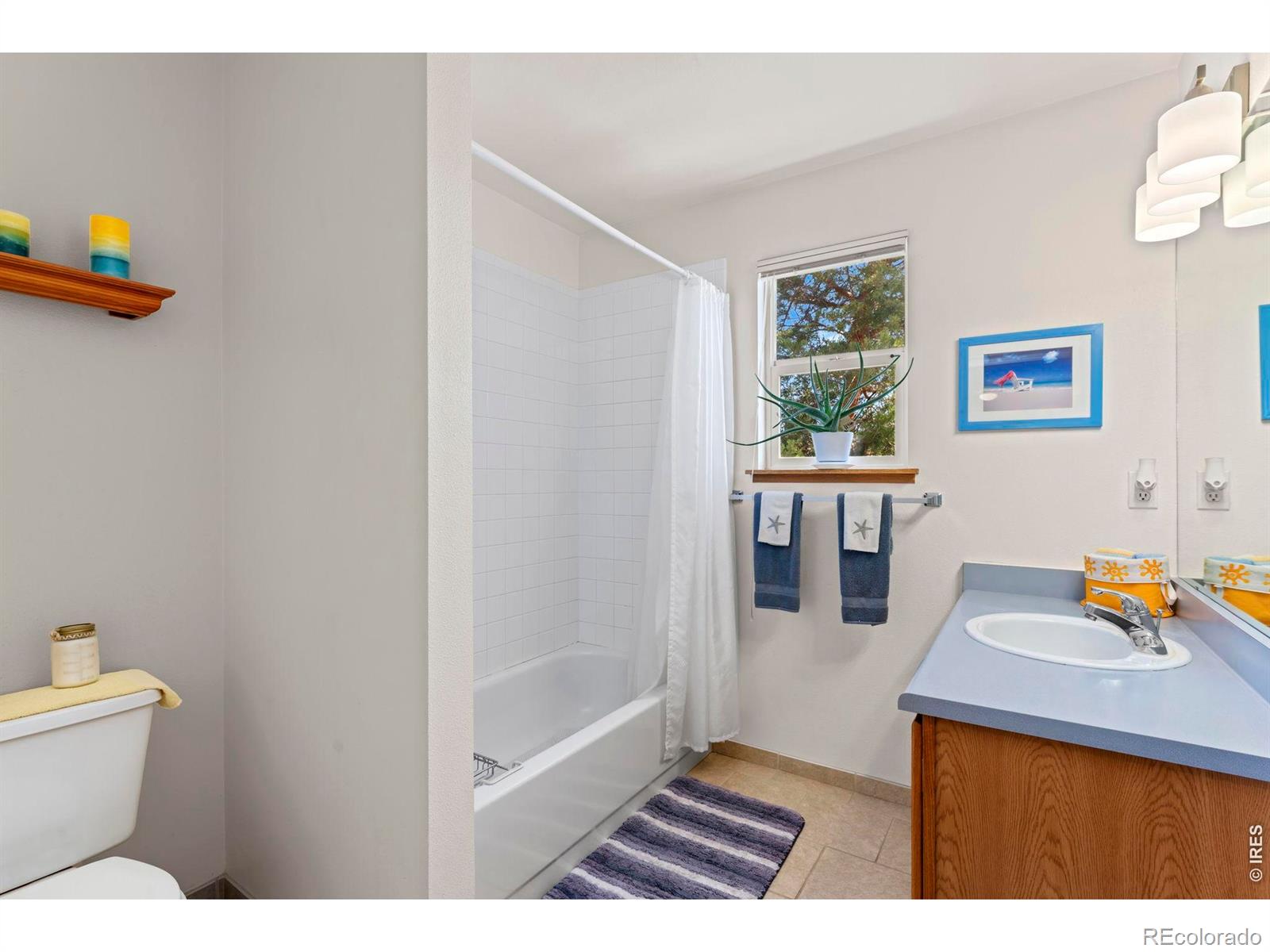 MLS Image #19 for 2410  key court,longmont, Colorado