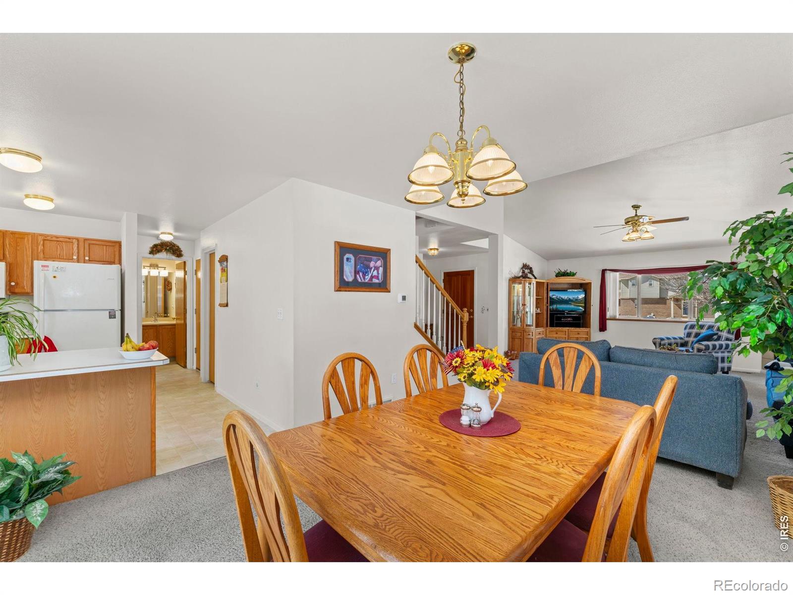 MLS Image #8 for 2410  key court,longmont, Colorado