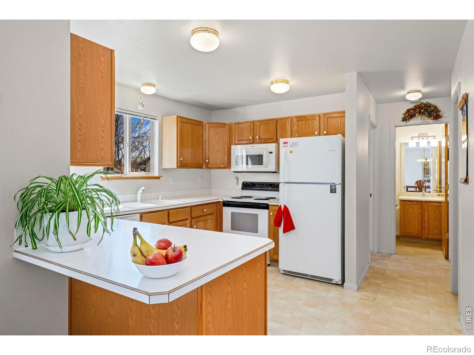 MLS Image #9 for 2410  key court,longmont, Colorado