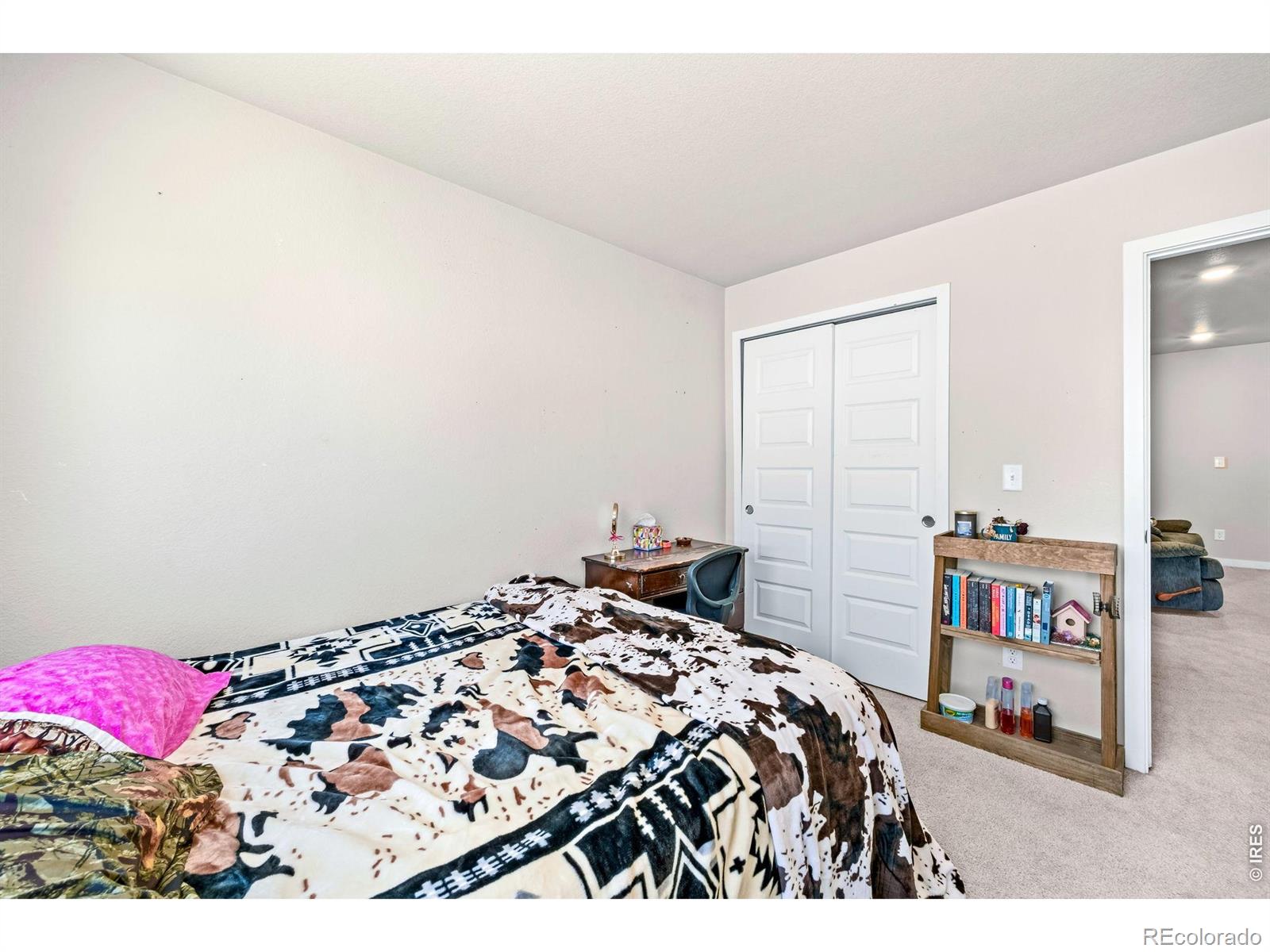 MLS Image #28 for 620  apache trail,ault, Colorado