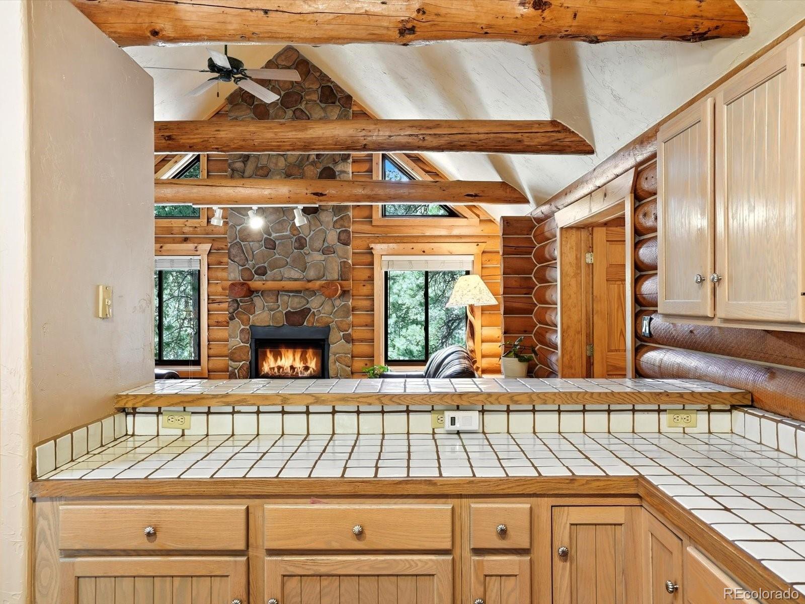 MLS Image #12 for 8220  iowa gulch road,morrison, Colorado