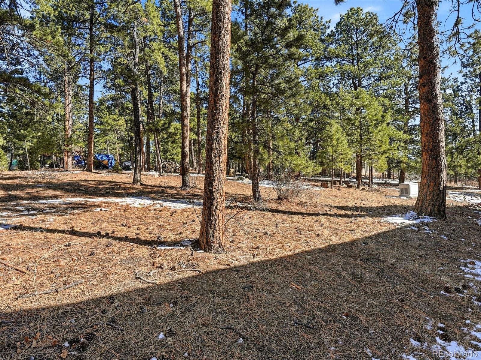 MLS Image #32 for 8220  iowa gulch road,morrison, Colorado