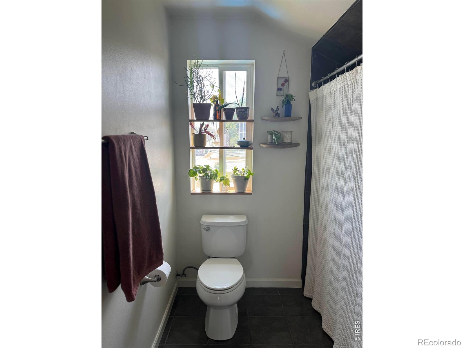 MLS Image #20 for 508  la farge avenue,louisville, Colorado