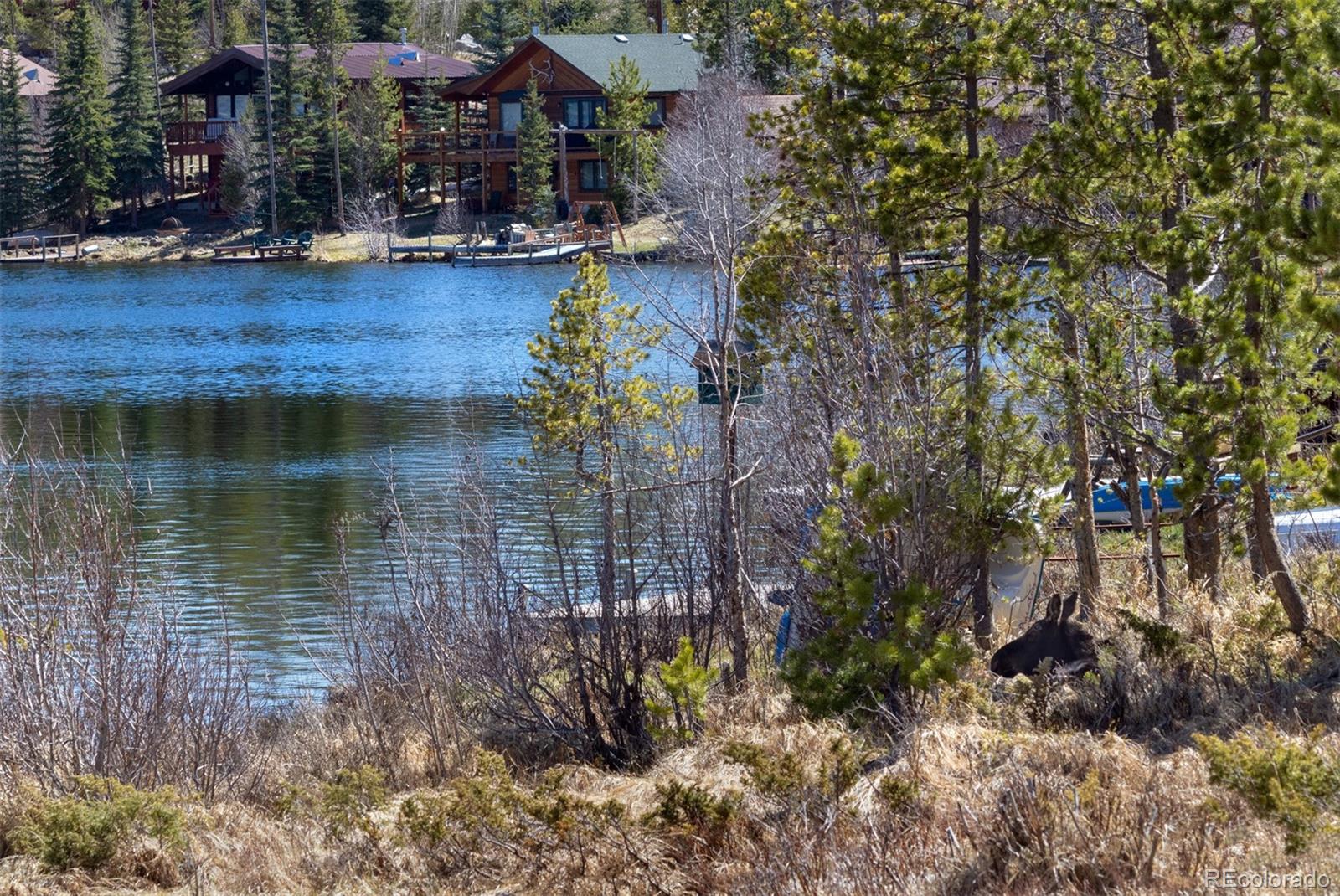 MLS Image #36 for 90  gcr 4945 ,grand lake, Colorado