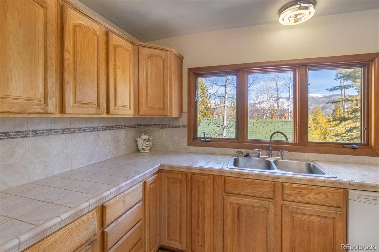 MLS Image #6 for 90  gcr 4945 ,grand lake, Colorado