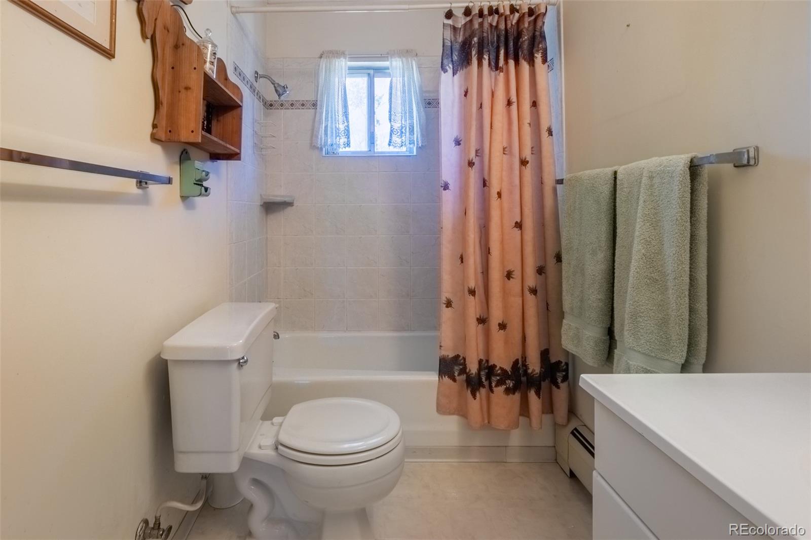 MLS Image #8 for 90  gcr 4945 ,grand lake, Colorado