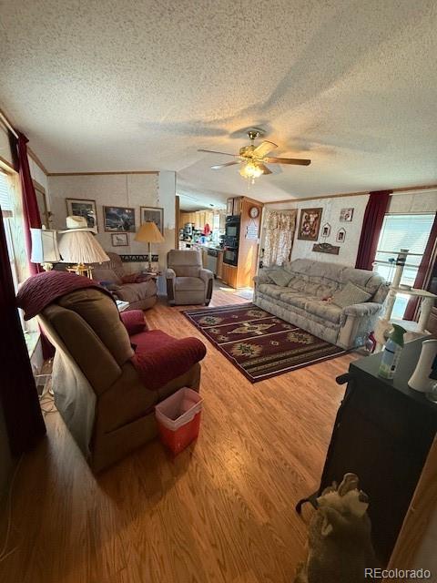 MLS Image #9 for 308  elm street,lochbuie, Colorado