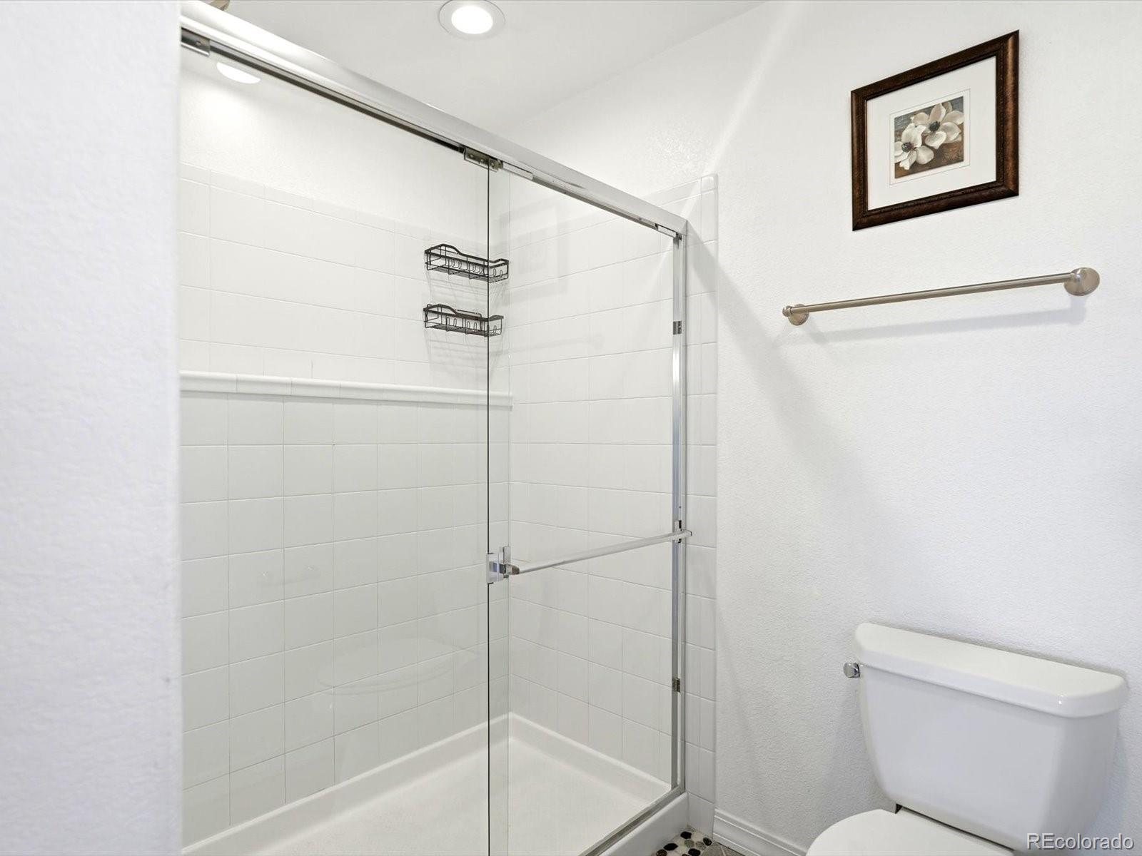 MLS Image #31 for 2229  ashwood lane,highlands ranch, Colorado