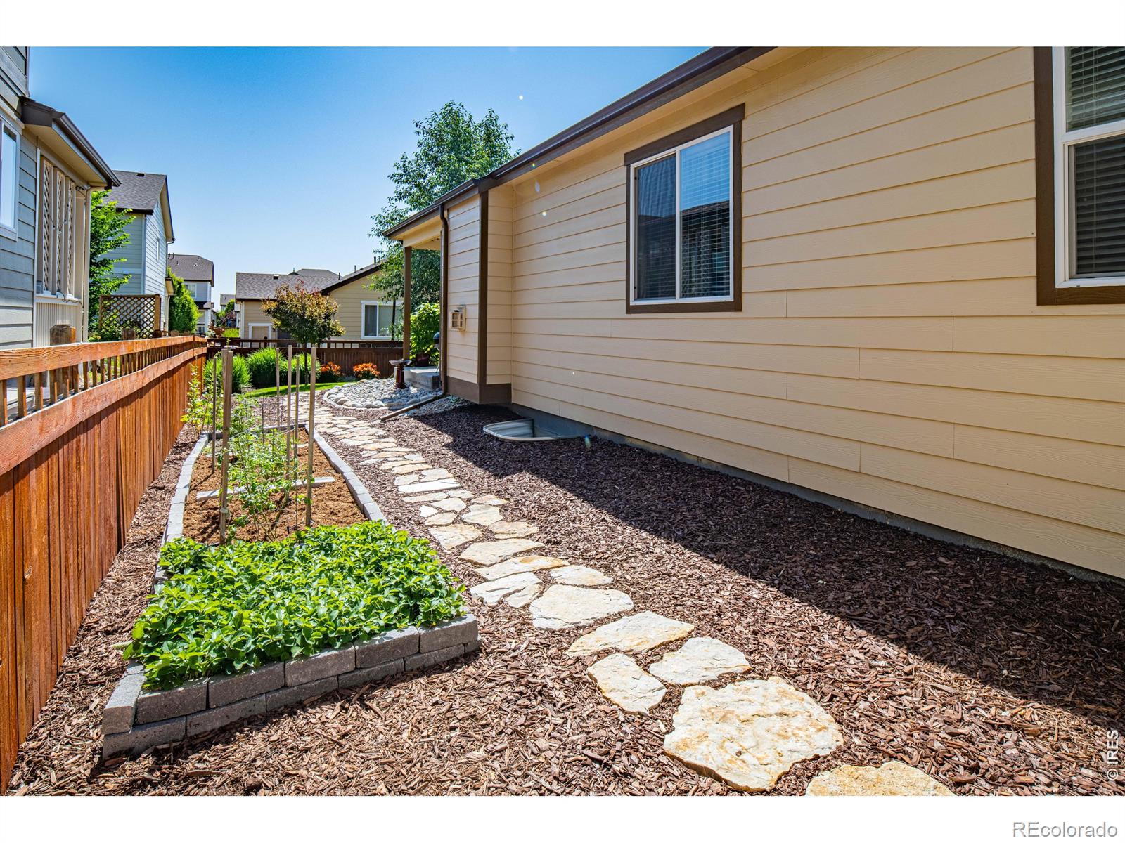 MLS Image #30 for 6524  empire avenue,frederick, Colorado