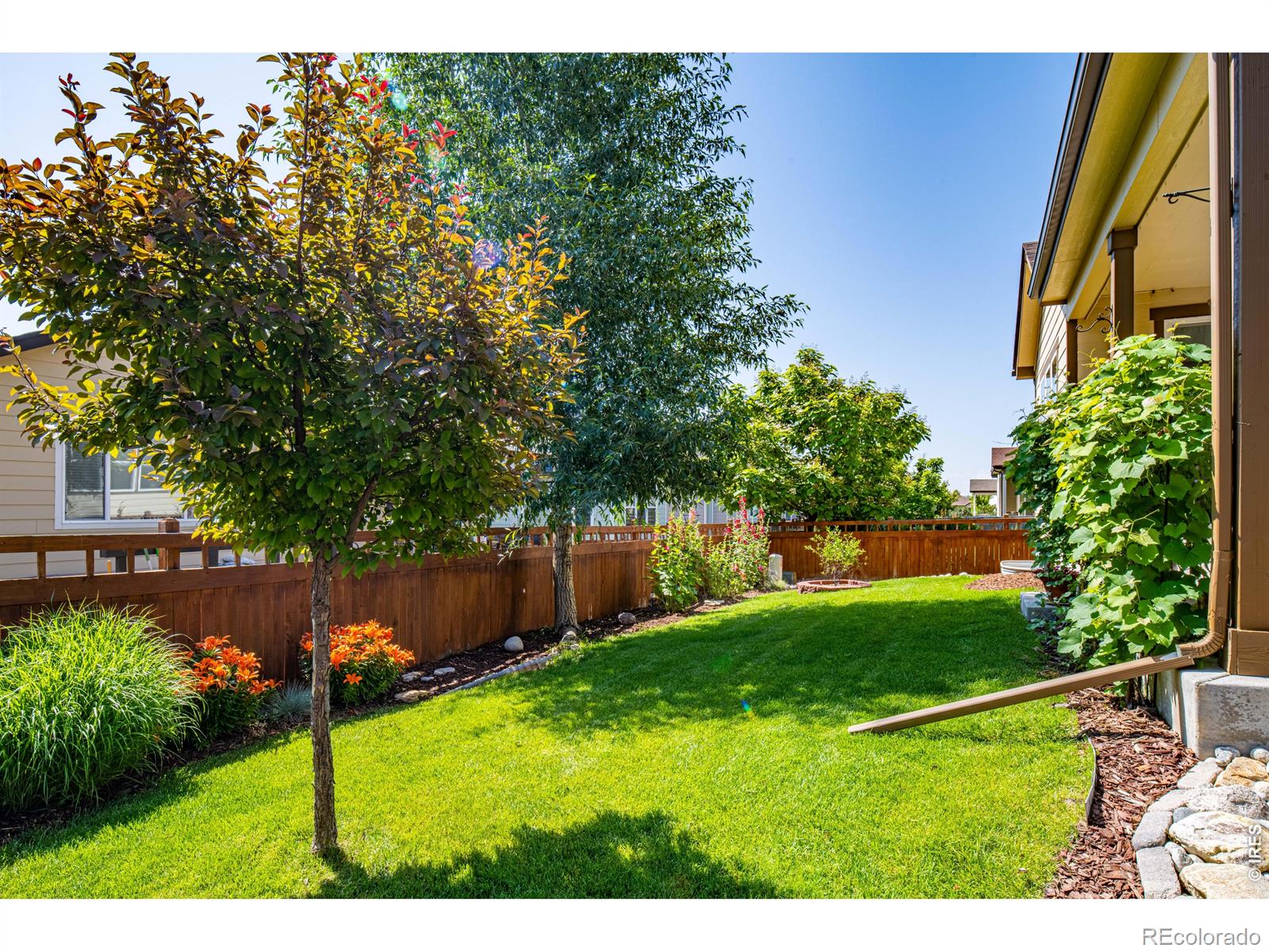 MLS Image #32 for 6524  empire avenue,frederick, Colorado