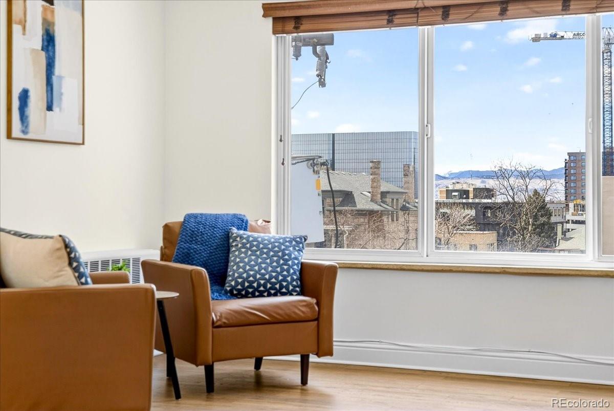 MLS Image #10 for 855 n pennsylvania street 411,denver, Colorado
