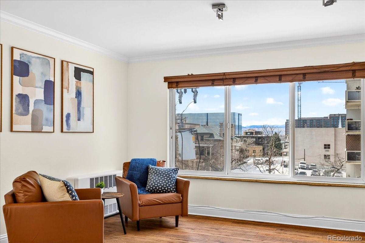 MLS Image #8 for 855 n pennsylvania street 411,denver, Colorado