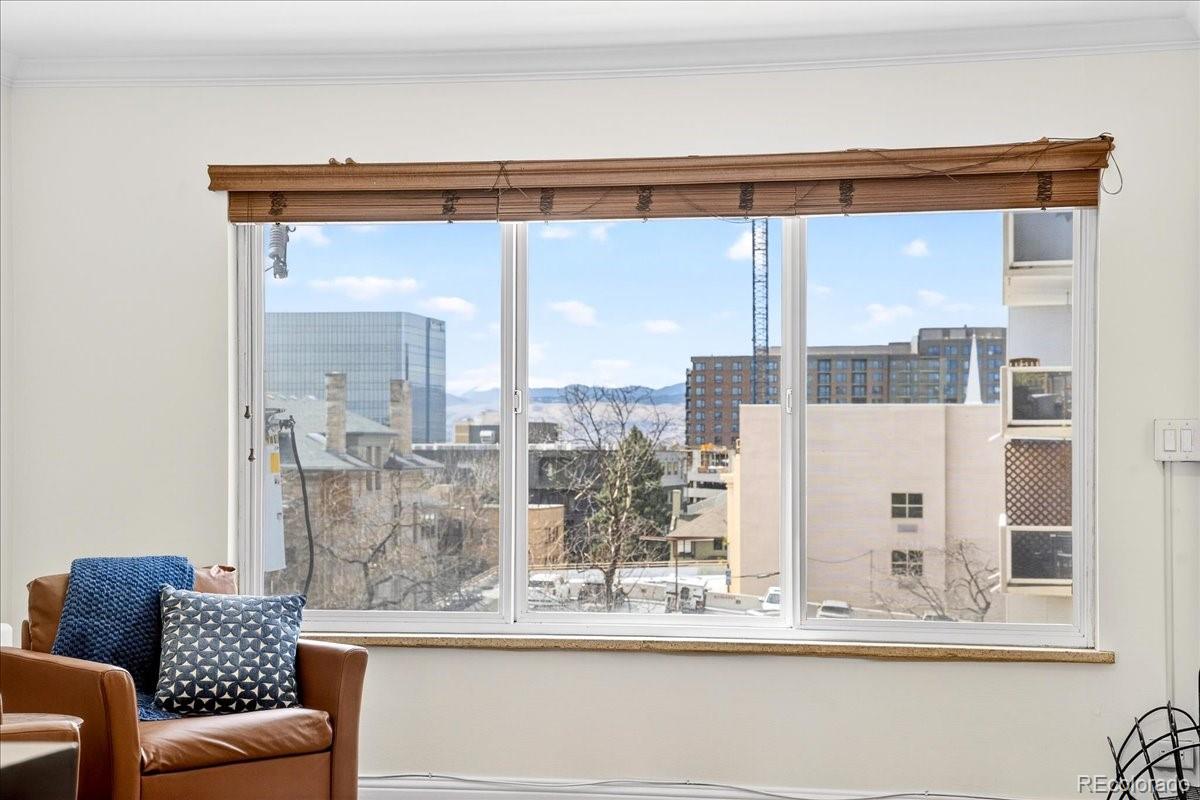 MLS Image #9 for 855 n pennsylvania street 411,denver, Colorado