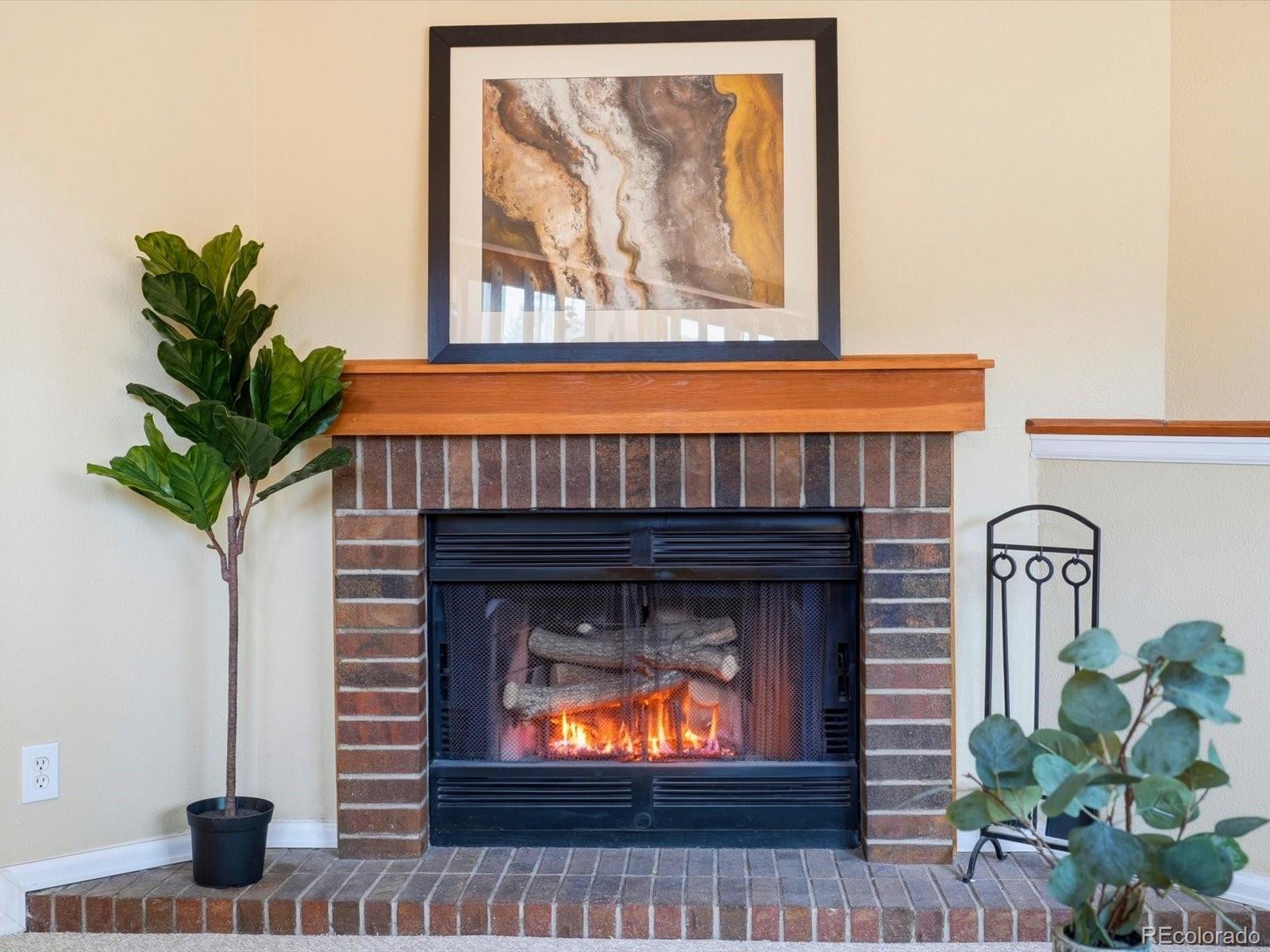 MLS Image #16 for 765  stowe street,highlands ranch, Colorado