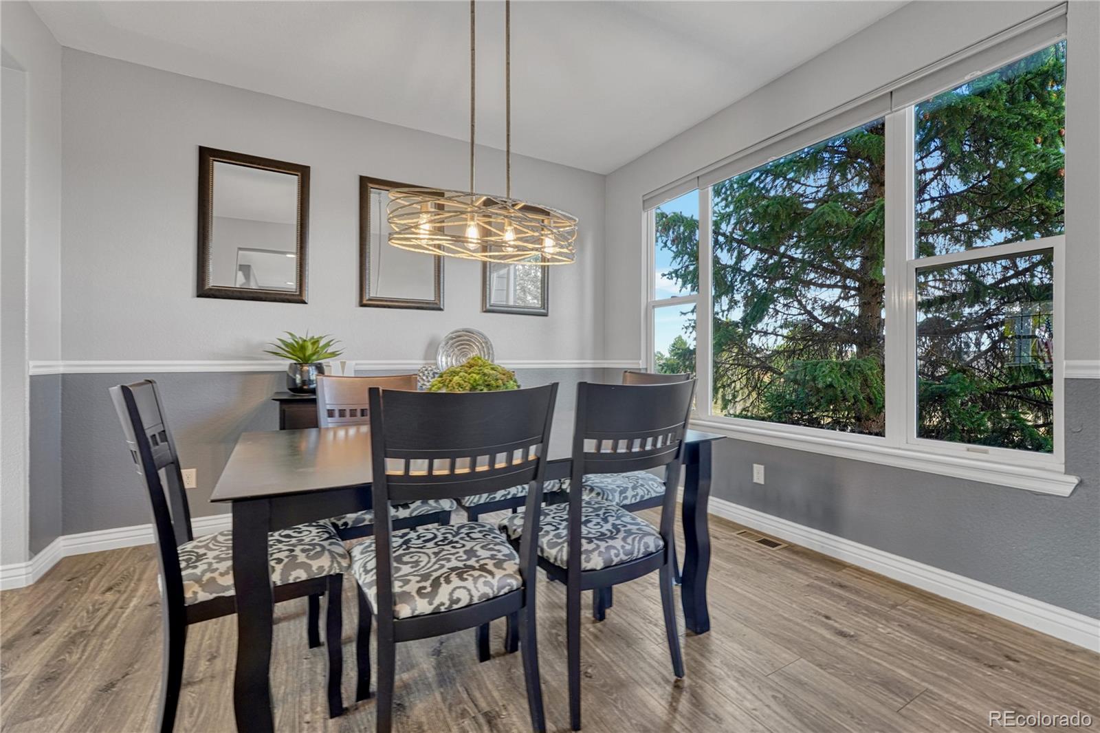 MLS Image #10 for 21777  unbridled avenue,parker, Colorado