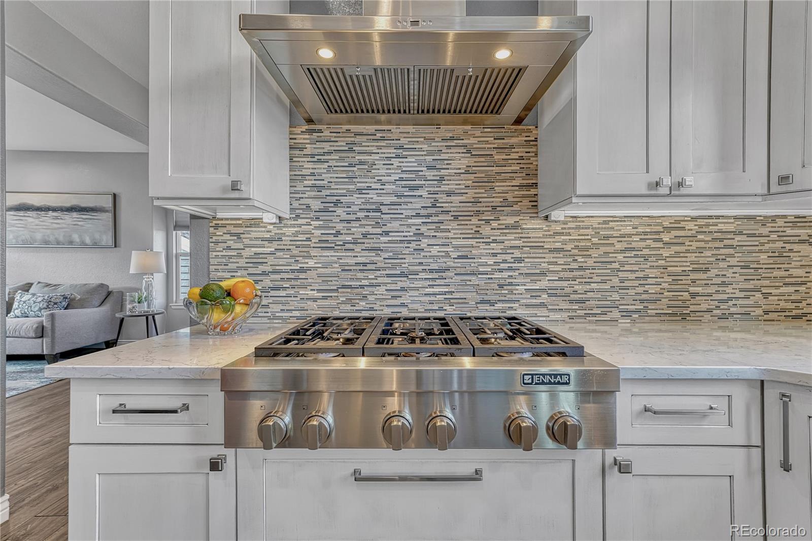 MLS Image #12 for 21777  unbridled avenue,parker, Colorado
