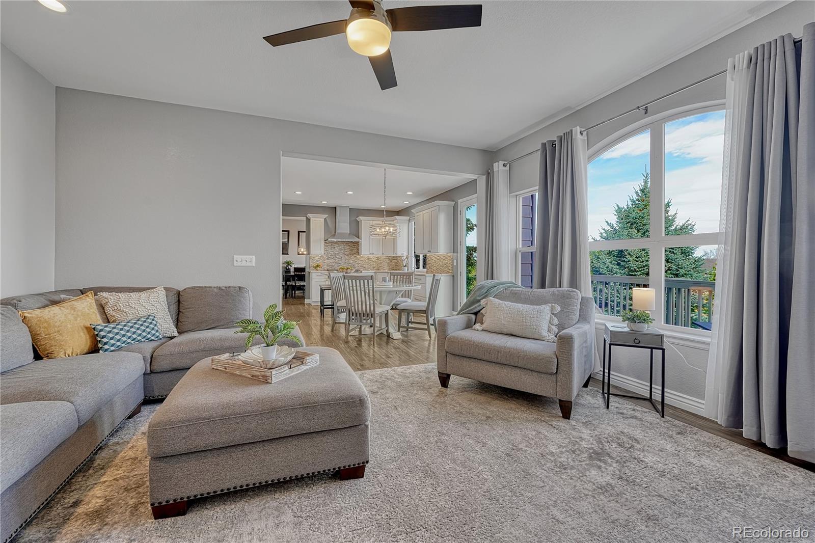 MLS Image #18 for 21777  unbridled avenue,parker, Colorado