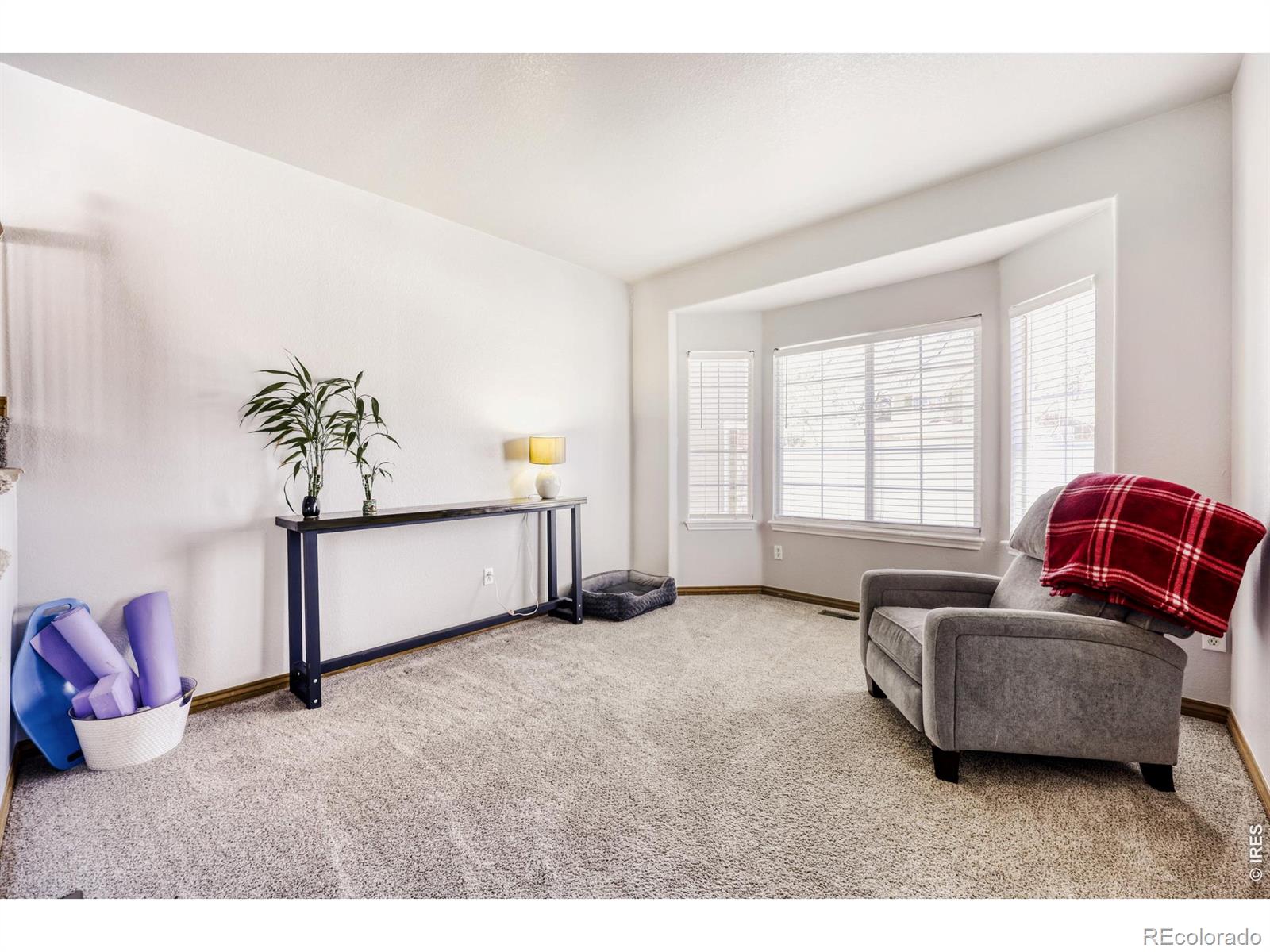 MLS Image #12 for 1661  iris street,broomfield, Colorado