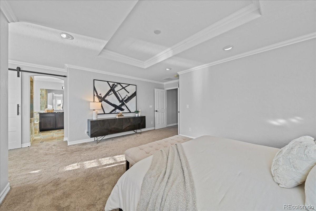 MLS Image #20 for 1103  zodo avenue,erie, Colorado