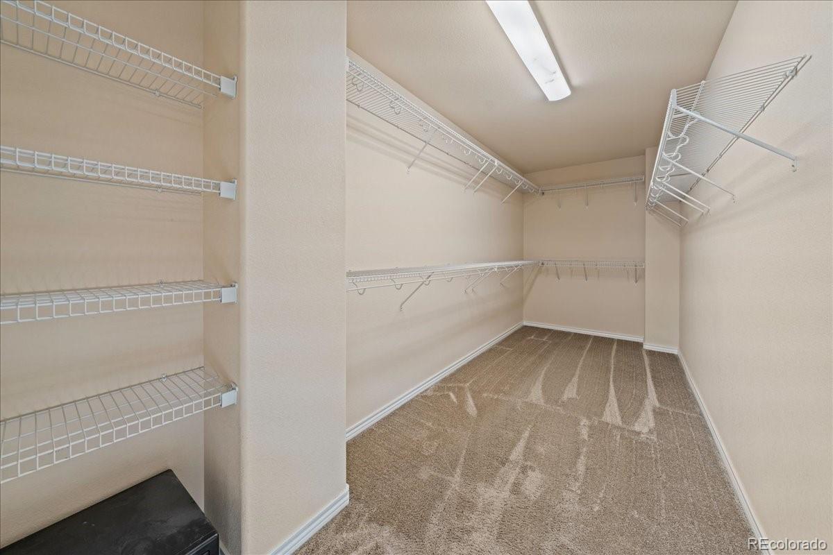 MLS Image #27 for 1103  zodo avenue,erie, Colorado