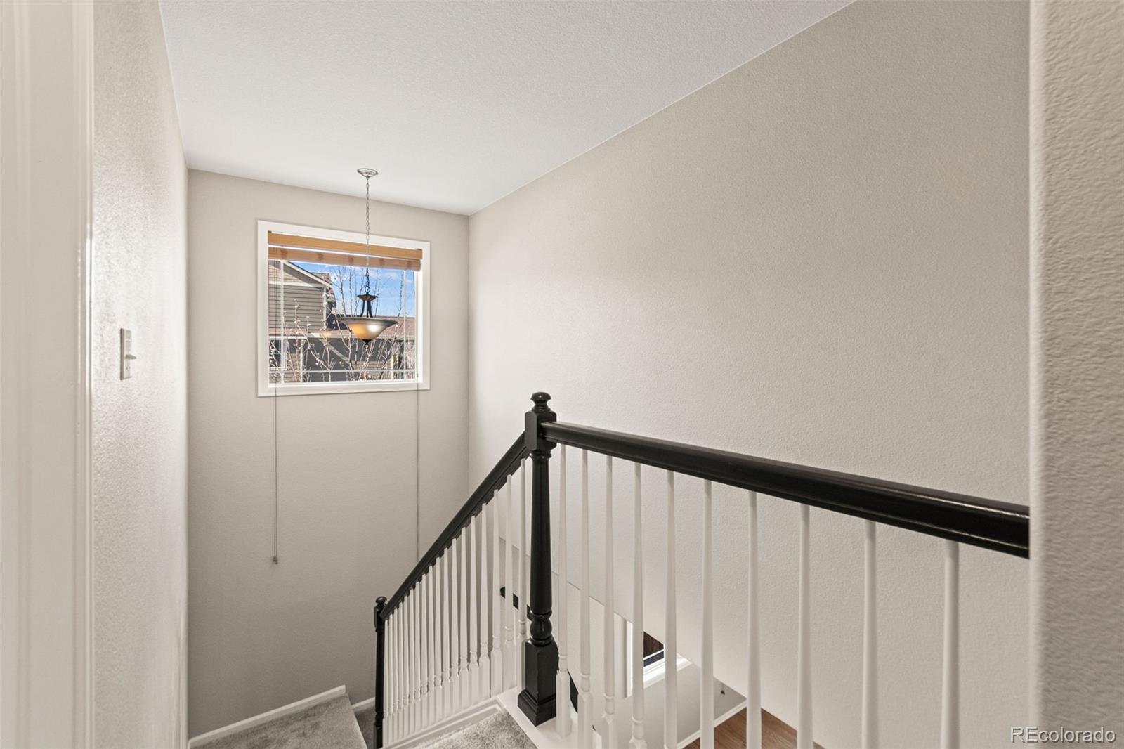 MLS Image #20 for 2908  open sky way,castle rock, Colorado