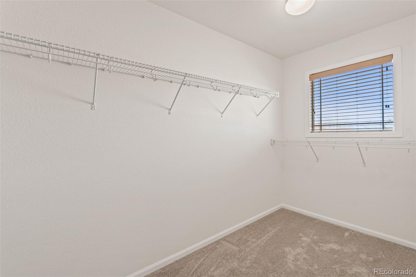 MLS Image #27 for 2908  open sky way,castle rock, Colorado