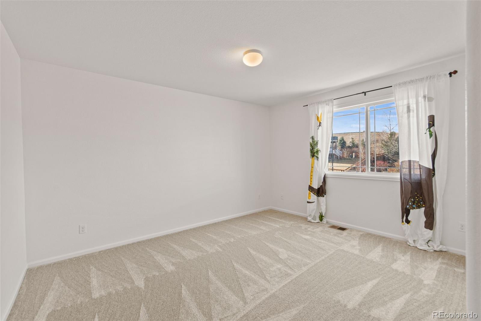 MLS Image #28 for 2908  open sky way,castle rock, Colorado