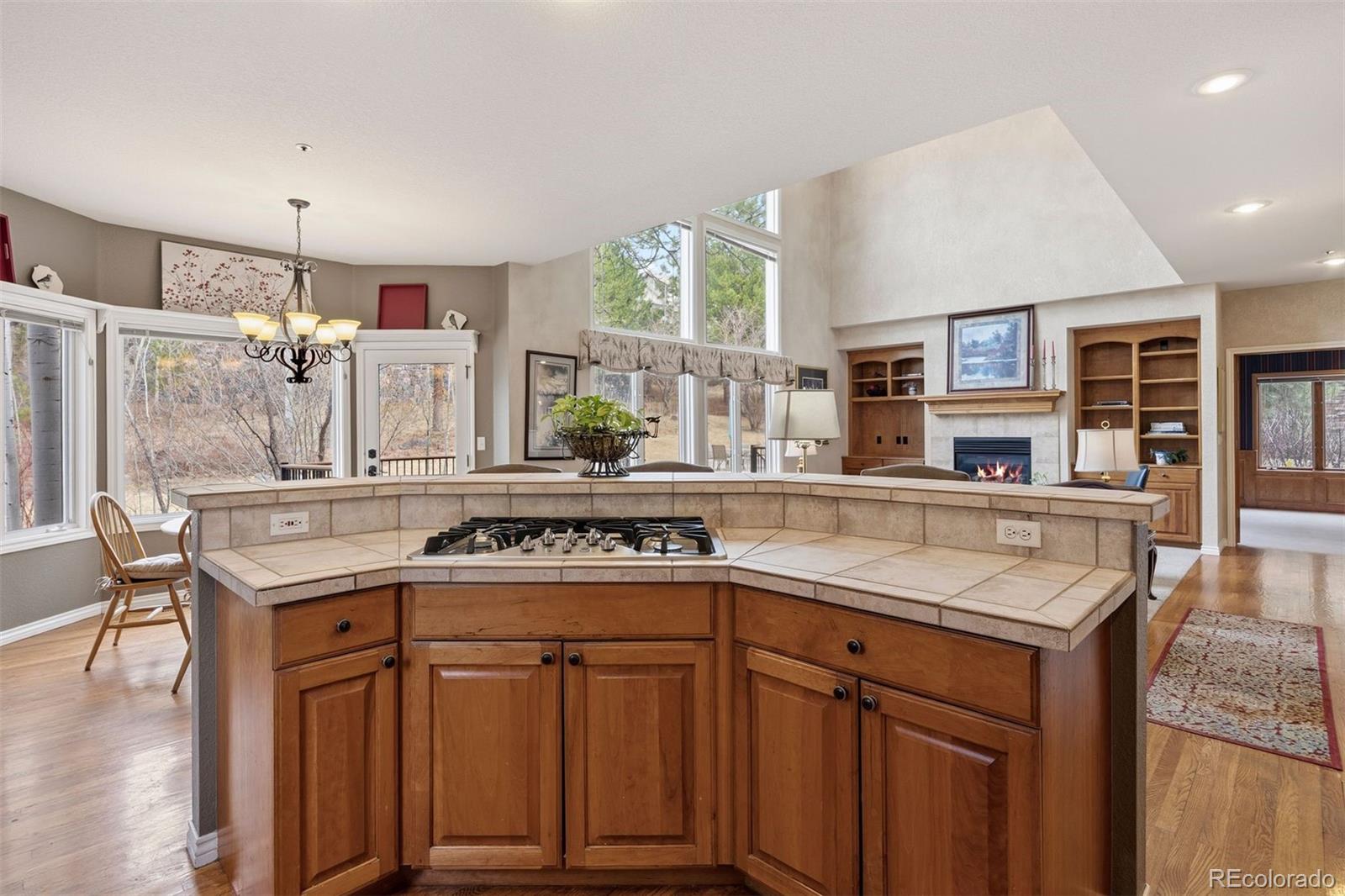 MLS Image #7 for 846  good hope drive,castle rock, Colorado