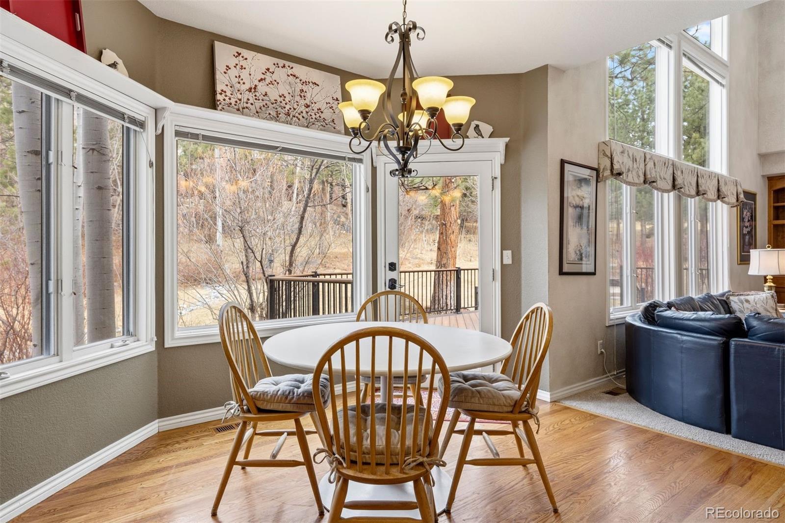 MLS Image #8 for 846  good hope drive,castle rock, Colorado