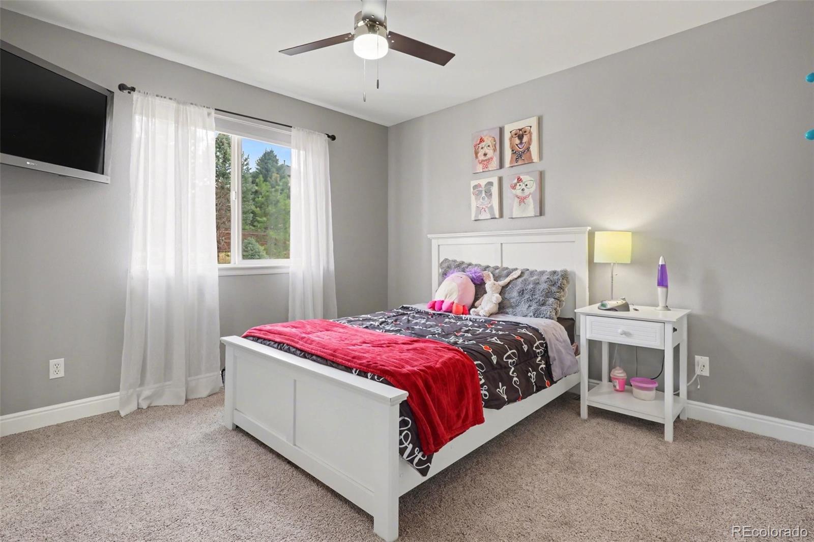 MLS Image #22 for 11632  larkspur drive,parker, Colorado