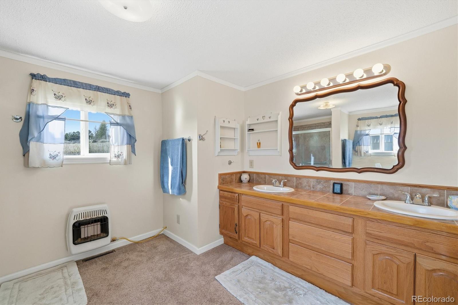 MLS Image #12 for 25526  county road 21 ,elbert, Colorado