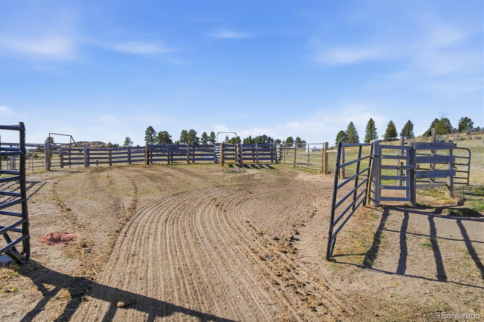 MLS Image #29 for 25526  county road 21 ,elbert, Colorado