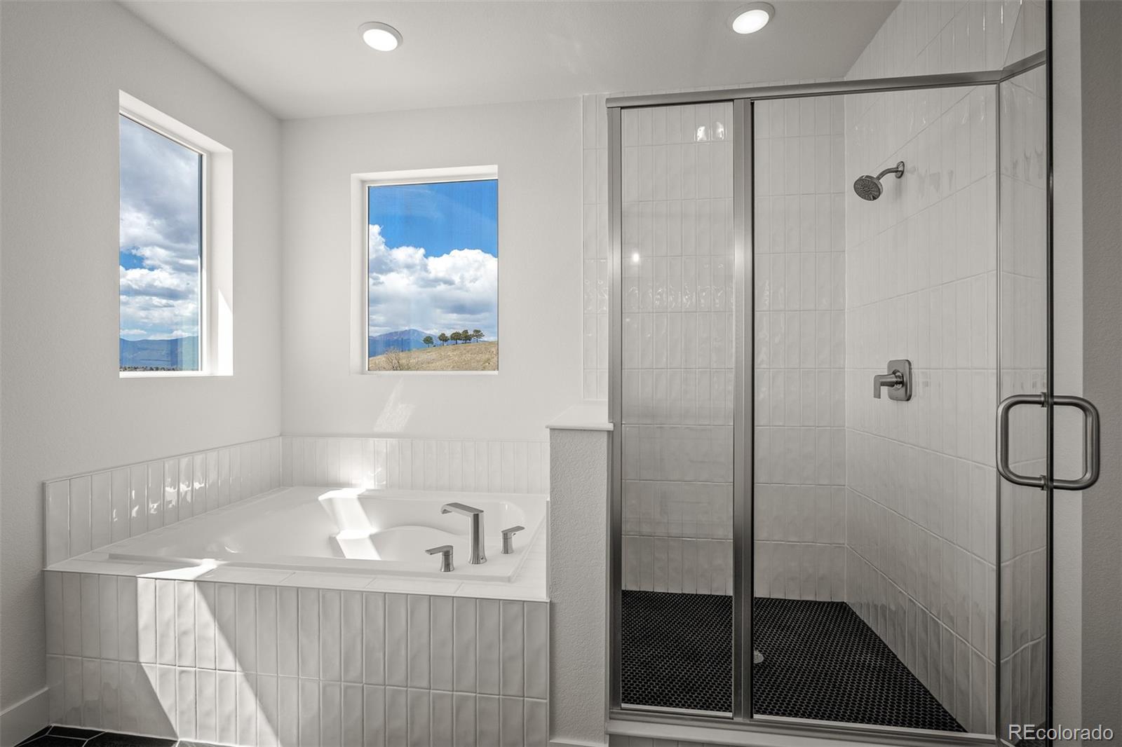 MLS Image #20 for 4415  peak crest view,colorado springs, Colorado
