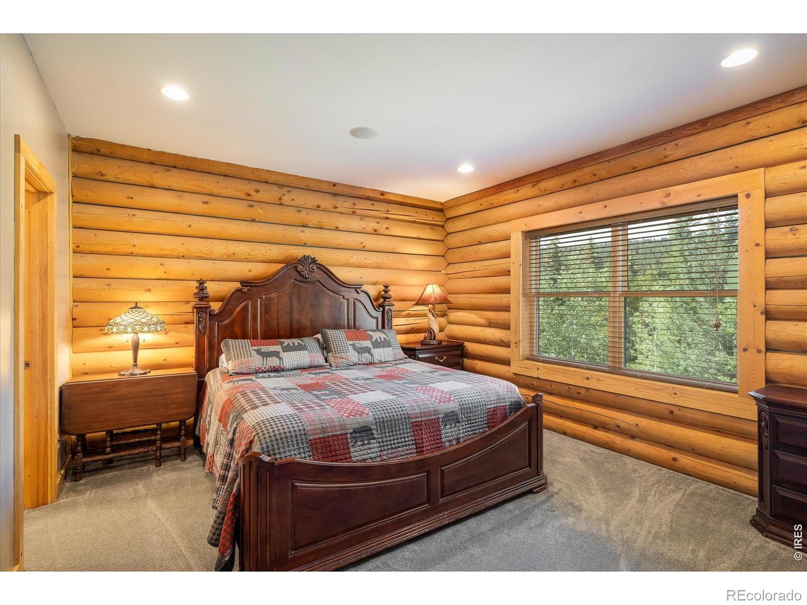 MLS Image #10 for 280  hummer drive,nederland, Colorado