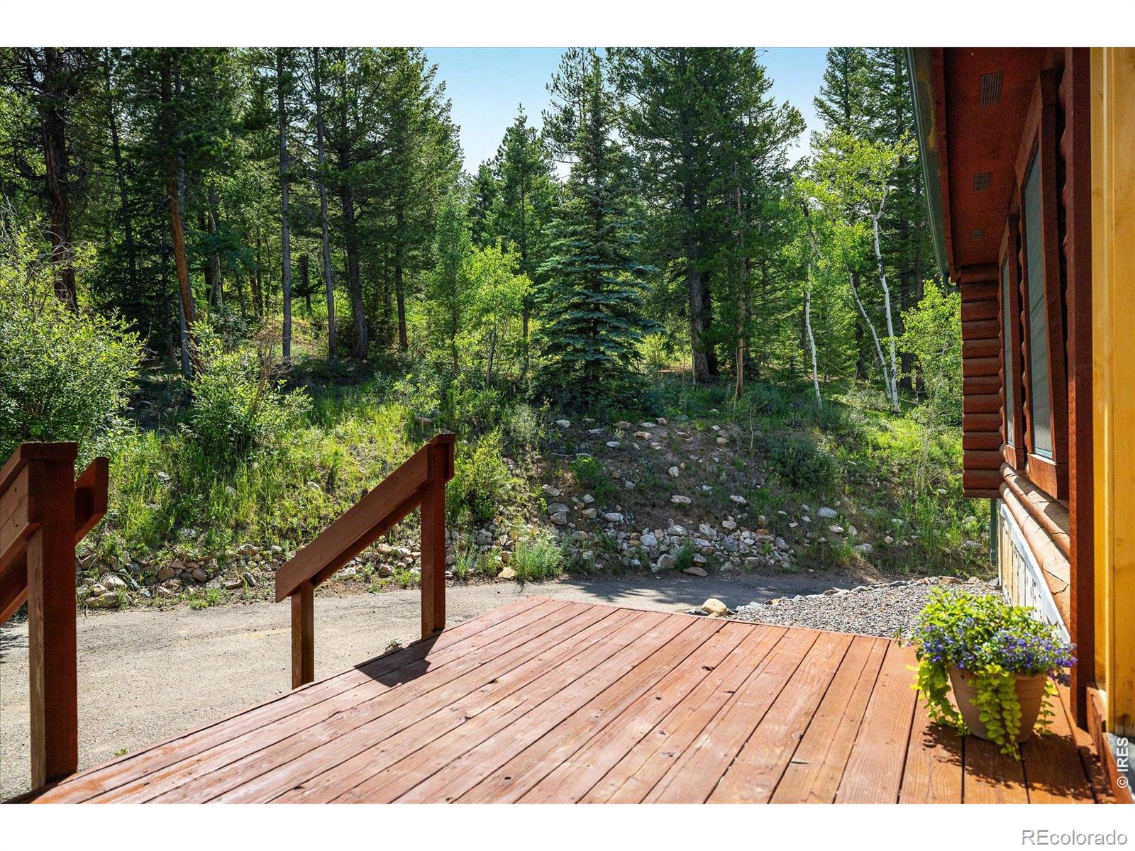 MLS Image #2 for 280  hummer drive,nederland, Colorado