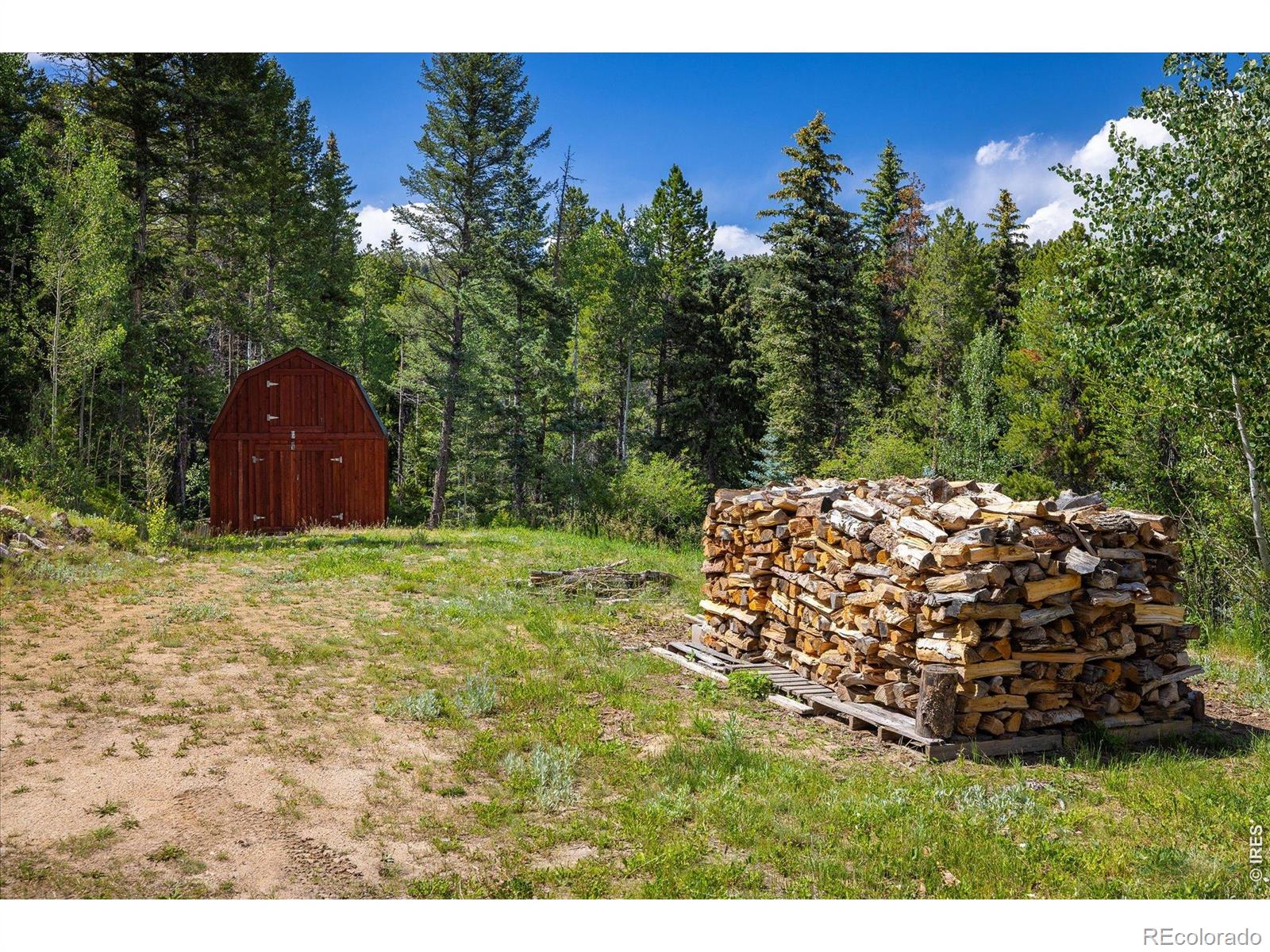 MLS Image #28 for 280  hummer drive,nederland, Colorado
