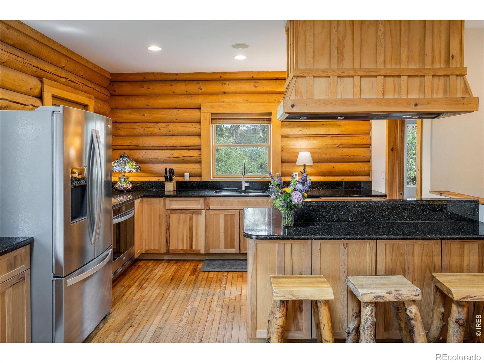 MLS Image #5 for 280  hummer drive,nederland, Colorado