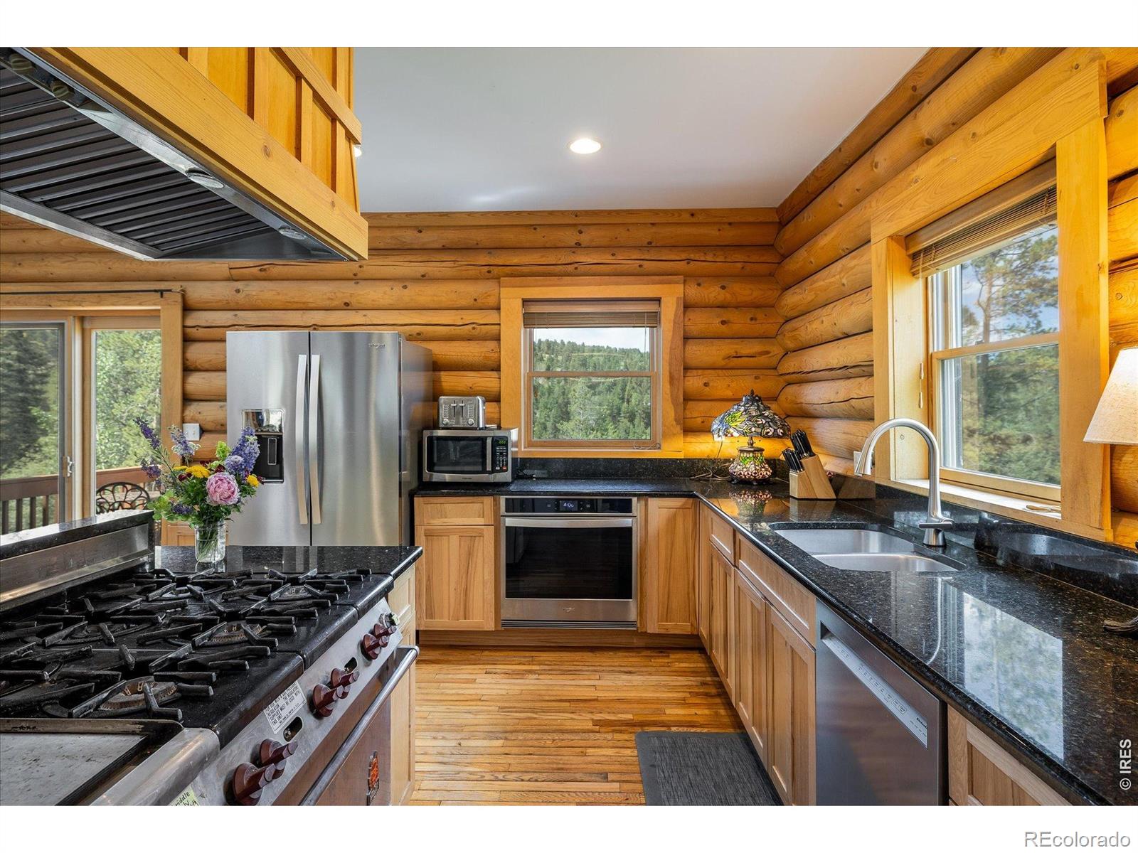 MLS Image #7 for 280  hummer drive,nederland, Colorado