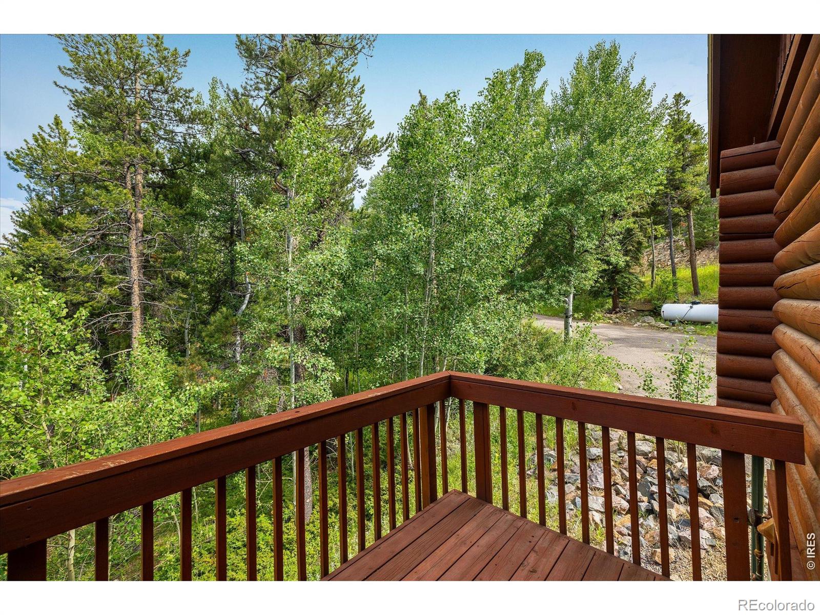 MLS Image #9 for 280  hummer drive,nederland, Colorado