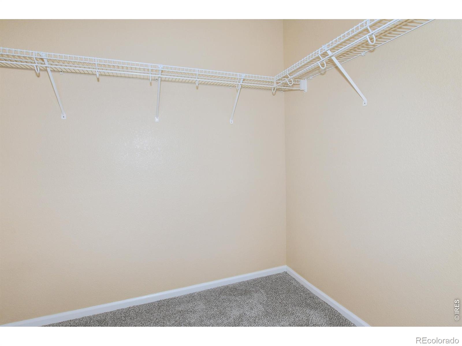 MLS Image #20 for 3445  meadowlark avenue,fort collins, Colorado