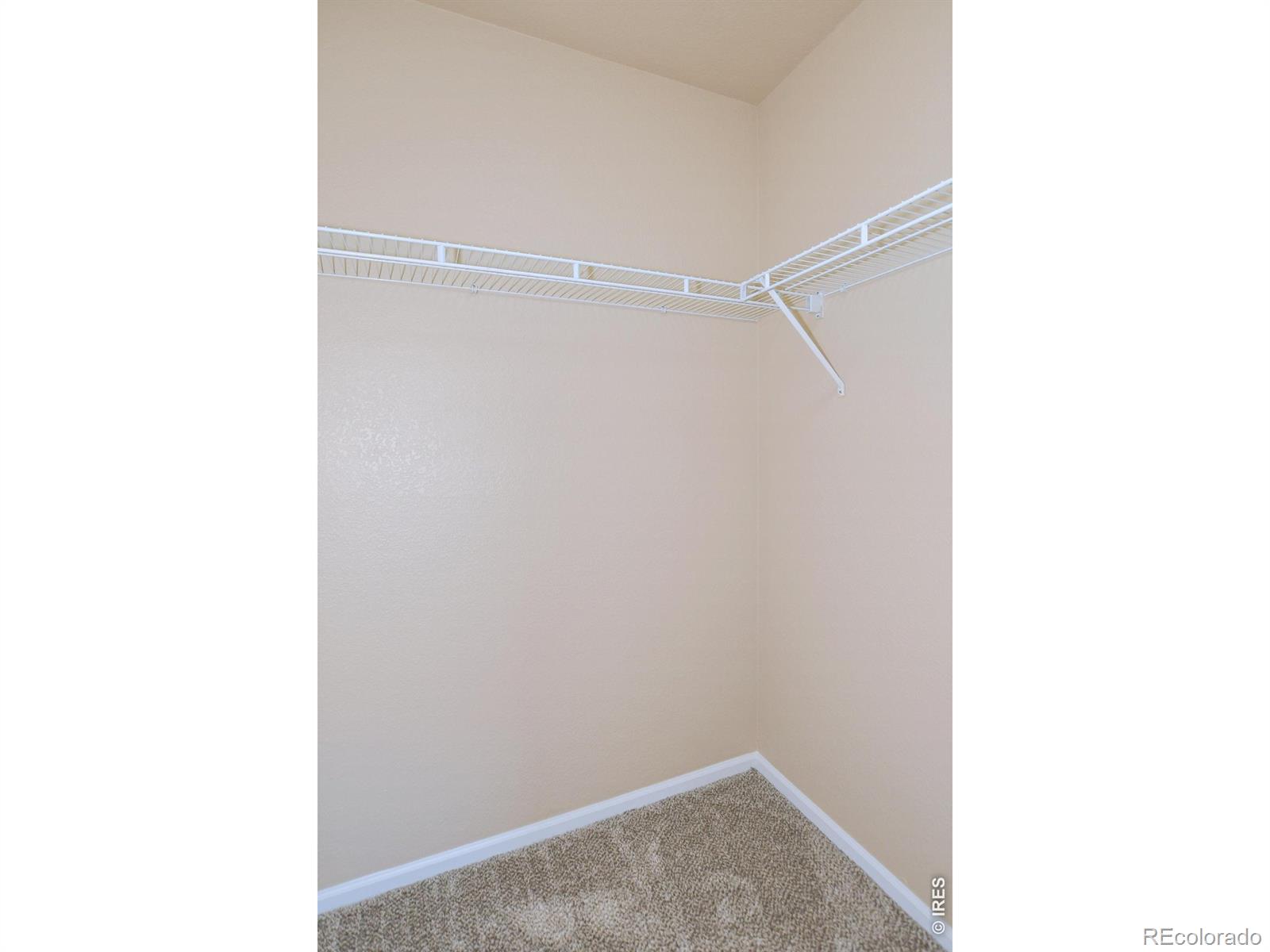 MLS Image #29 for 3445  meadowlark avenue,fort collins, Colorado