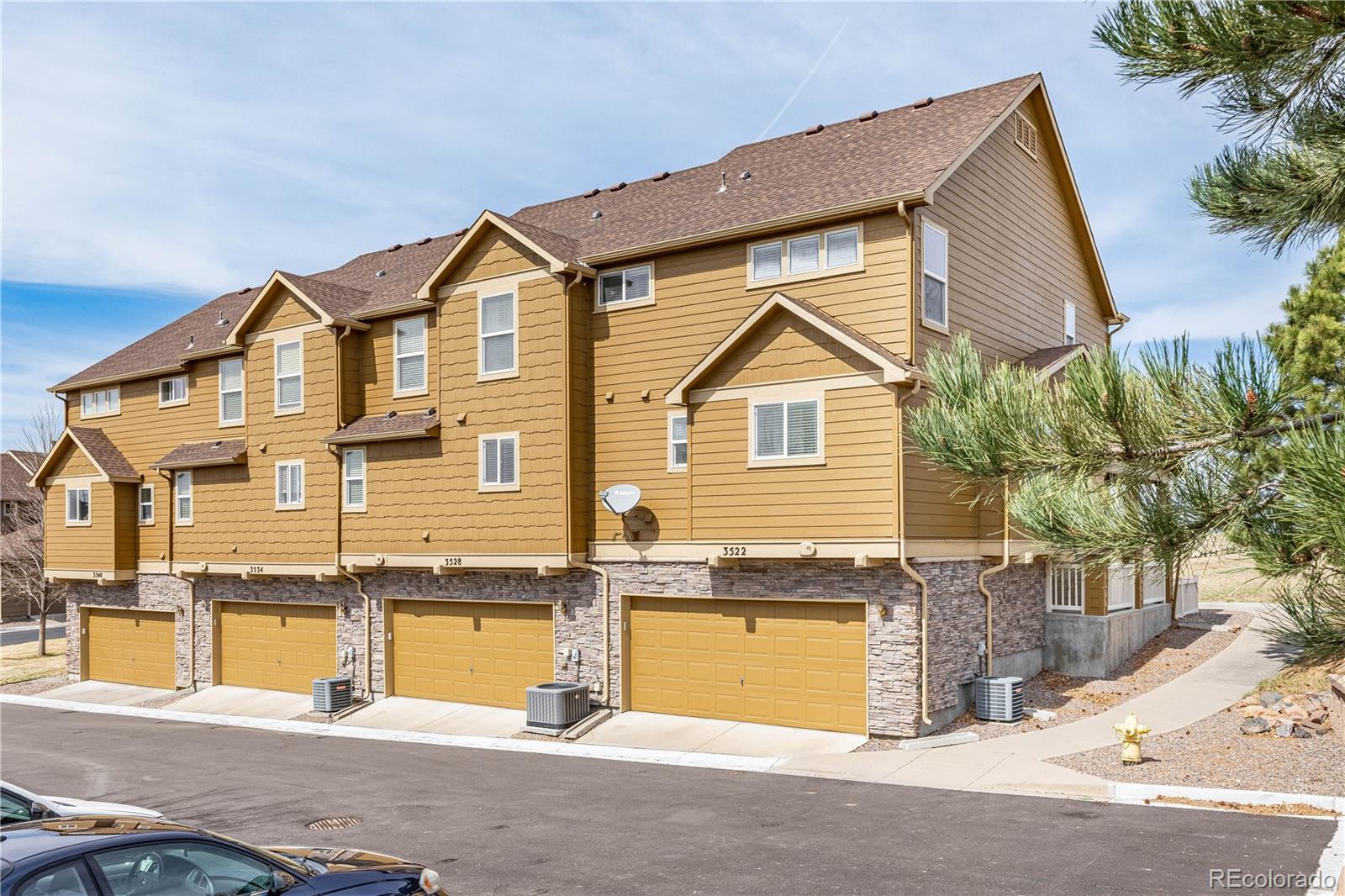 MLS Image #20 for 3522  nez perce trail ,castle rock, Colorado