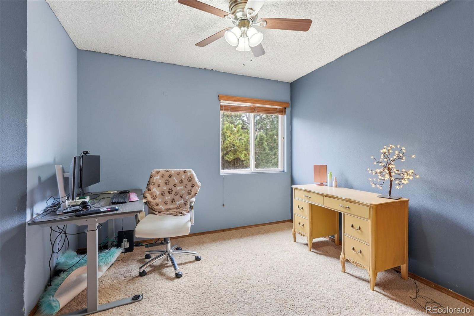 MLS Image #32 for 6095  breeze court,colorado springs, Colorado