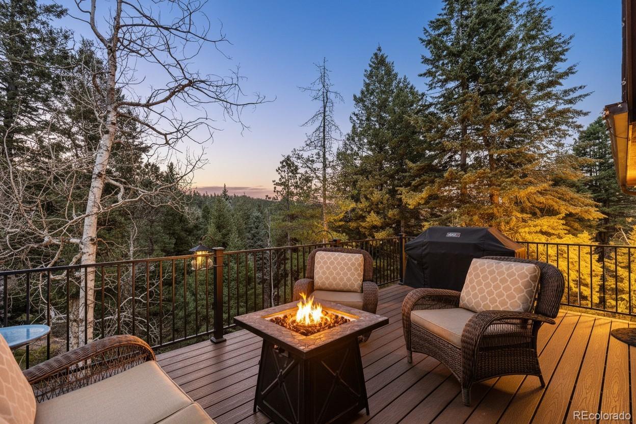 MLS Image #28 for 19184  silver ranch road,conifer, Colorado