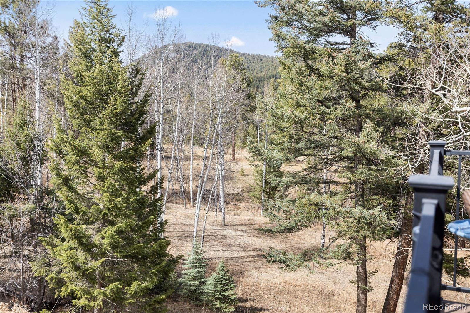 MLS Image #32 for 19184  silver ranch road,conifer, Colorado